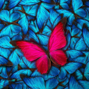 Butterfly Aesthetic Wallpaper