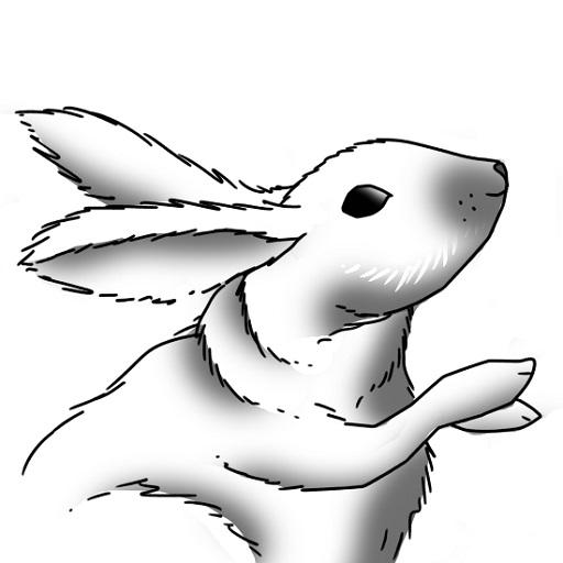 How to Draw Rabbit Drawing Step by Step - YouTube