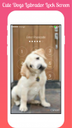 Cute Dogs Labrador Lock screen HD Applock security screenshot 2