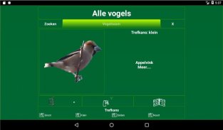 Vogels in Nederland screenshot 4