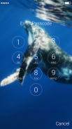 Blue Whale Lock Screen screenshot 1