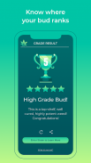 HiGrade: pruebas de cannabis desde tu disp. móvil screenshot 12