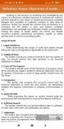 Financial Auditing screenshot 2