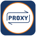 ProxySet - HTTP/Socks Proxy Icon