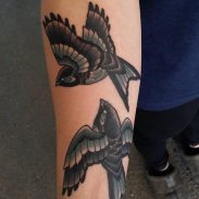 Swallow Bird Tattoo screenshot 1