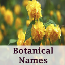 Botanical names - Offline