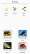 Animals -Quiz about Mammals, Birds, Fish!Zoo quiz. screenshot 7