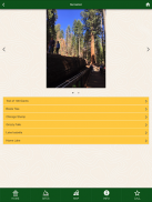 Sequoia National Forest screenshot 3