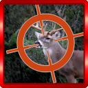 Deer Sniper 2014