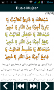 Dua e Mujeer (دُعَاۓ مُجیر) screenshot 7