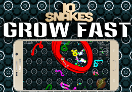 IO Snakes Slither screenshot 9