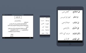 Learn Arabic in 30 Days screenshot 3