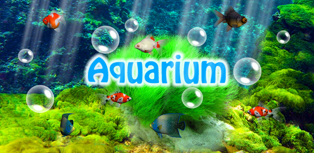 Aquarium hình nền - Aquariums hình nền (40193622) - fanpop