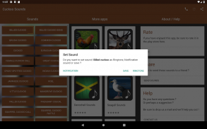 Cuckoo Sounds screenshot 2