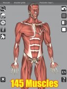 3D Bones and Organs (Anatomy) screenshot 13
