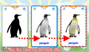 动物学习卡 （英语学习） screenshot 2