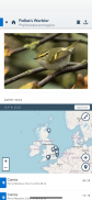 bird alert PRO screenshot 2