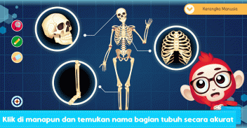 Marbel Anatomi Manusia SD 5 screenshot 7