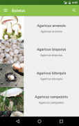 Boletus lite - champignons screenshot 8