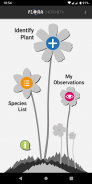 Flora Incognita - automated plant identification screenshot 6