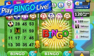 Bingo Craze screenshot 6