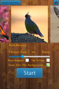 Birds Jigsaw Puzzles Game screenshot 0