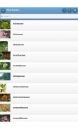 Plant families screenshot 8