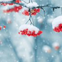 Beautiful Winter Live Wallpape Icon