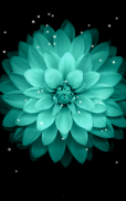 Galaxy Flowers Live Wallpaper screenshot 1