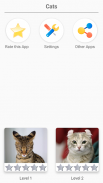 Cat Breeds Quiz - Game about Cats. Guess the Cat! screenshot 1