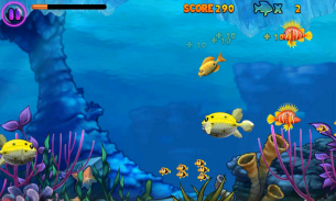 Fish Feeding Frenzy screenshot 0