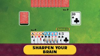 Gin Rummy * screenshot 11