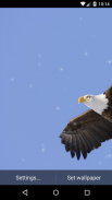 Eagle Live Wallpaper HD screenshot 2