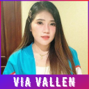 Via Vallen Song Best Album Offline Icon