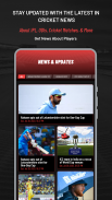 Cricket Mazza 11 Live Line screenshot 3