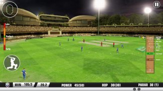 World Cricket Cup Tournament screenshot 5