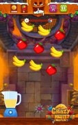 Crazy Juice Fruit Master Games screenshot 6
