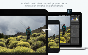 Adobe Lightroom - Editor de fotos screenshot 8
