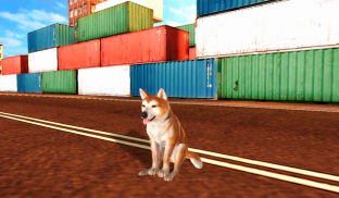 Akita Dog Simulator screenshot 17