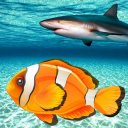 Real Fish Simulator Icon