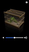 Insect Cage screenshot 2