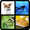 4 Fotos 1 Palabra