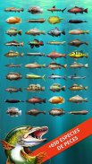 Let's Fish: Juegos de Peces. Simulador de Pesca. screenshot 2