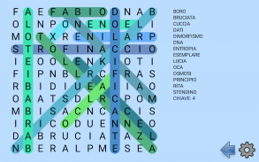 Puzzle parole intrecciate screenshot 5