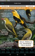 iBird UK Lite Free Bird Guide screenshot 15
