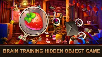 Hidden Objects : Living screenshot 2