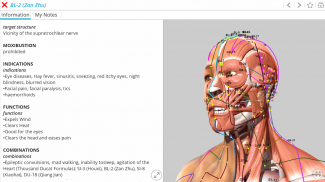 Visual Acupuncture 3D screenshot 0