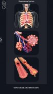 Respiratory System Anatomy Pro. screenshot 9