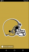 Wallpapers for New Orleans Saints Fans screenshot 1