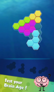 Hexa Puzzle: Triangle Block screenshot 4